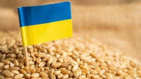 Fără cereale din Ucraina. Moldova va impune restricţii temporare la importul de grâne